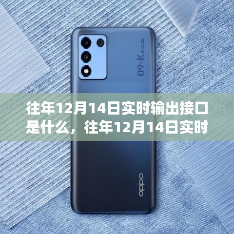 杳无音讯 第3页