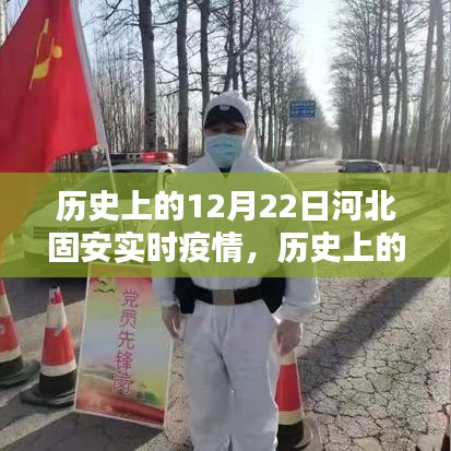 虫书鸟篆 第2页