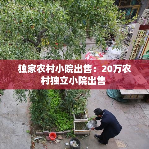 小鸟依人 第3页