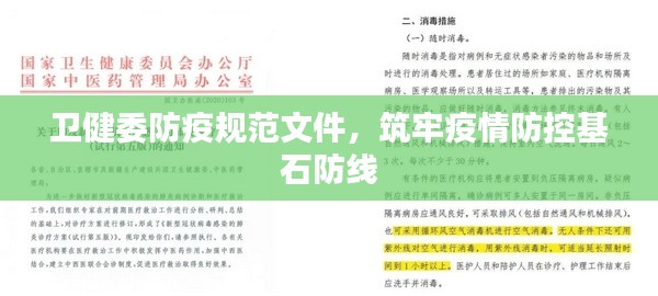 昙花一现 第3页