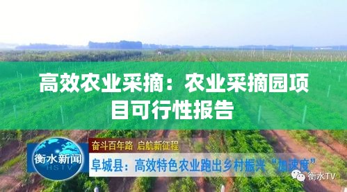 高效农业采摘：农业采摘园项目可行性报告 