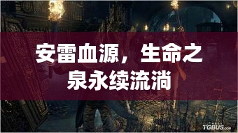 昙花一现 第2页