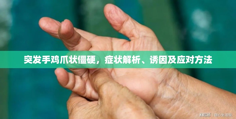 2025年4月 第14页