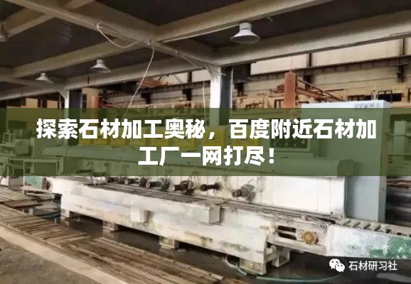 群雌粥粥