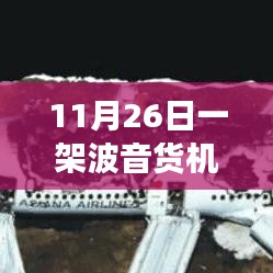 公司简介 第239页