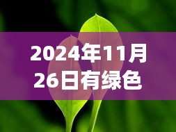 公司简介 第236页