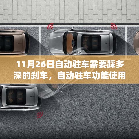 公司简介 第234页
