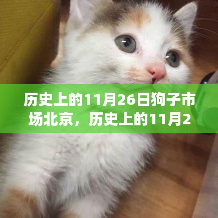 熊经鸟申 第3页