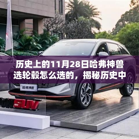 笼鸟槛猿 第4页