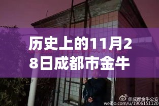 公司简介 第227页
