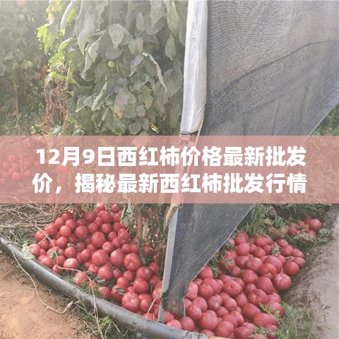 第1665页