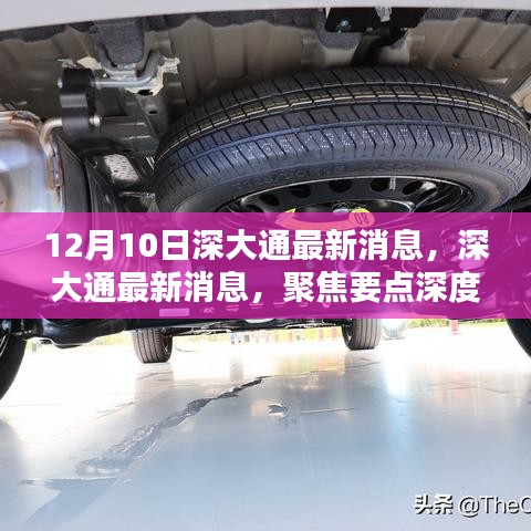 重张旗鼓 第3页