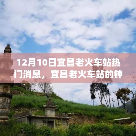 新闻动态 第222页