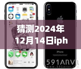 七贵三公 第3页