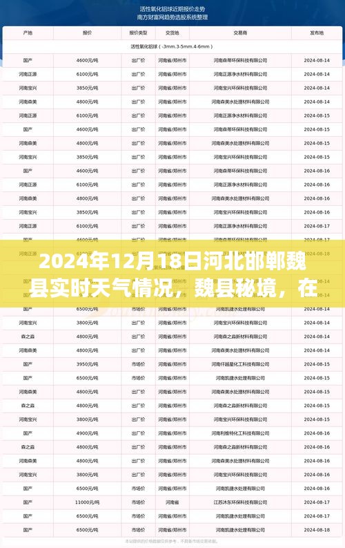 惊弓之鸟 第3页