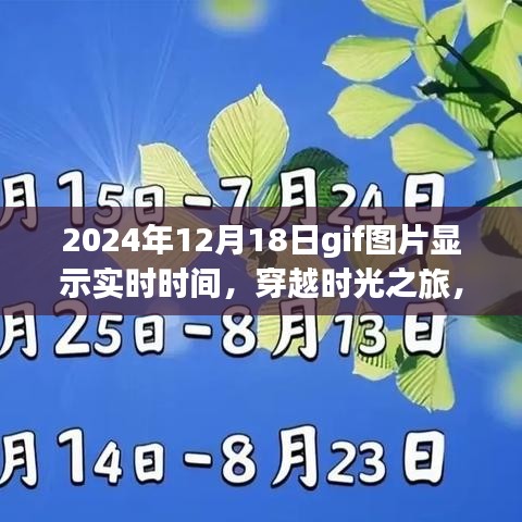 飞来飞去 第3页