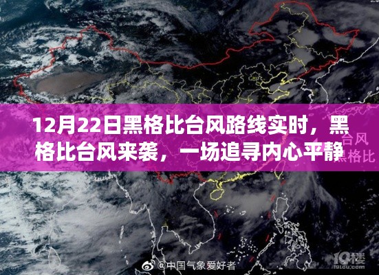 环肥燕瘦 第4页