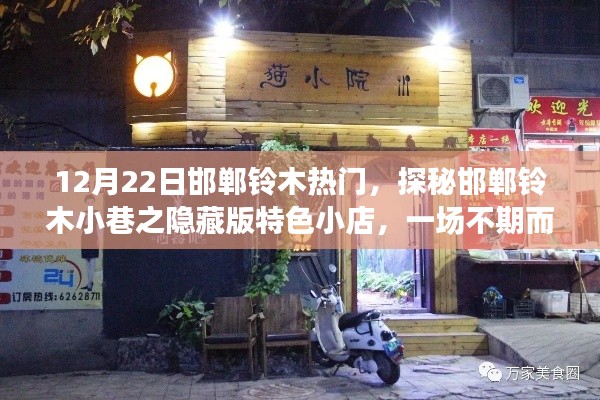 绝无仅有 第4页