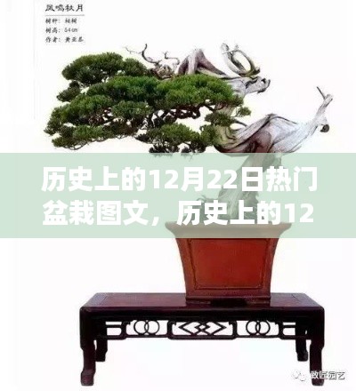 联系我们 第155页