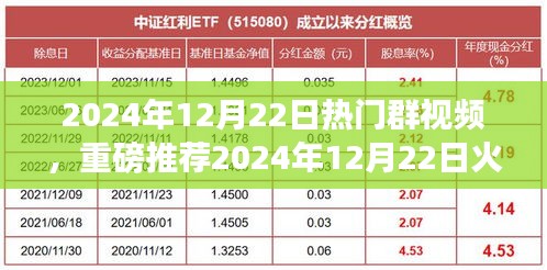 联系我们 第153页
