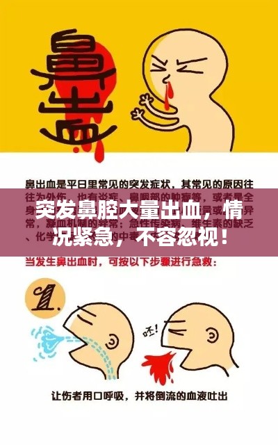 资料中心 第145页