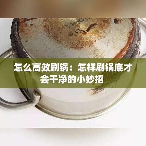 飞鸟惊蛇 第3页