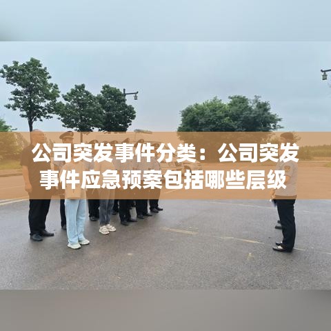 望其项背 第3页