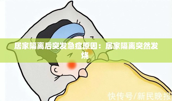 运输网络 第99页