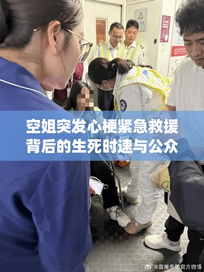 虫蚀鸟步 第2页