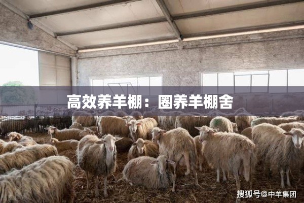 矢志不渝 第2页