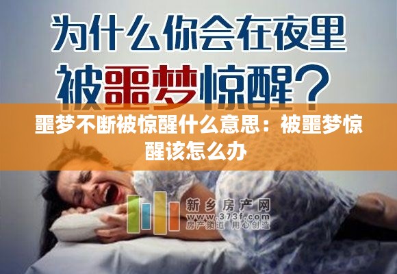 在线留言 第83页