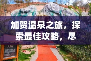 轻飞曼舞 第2页