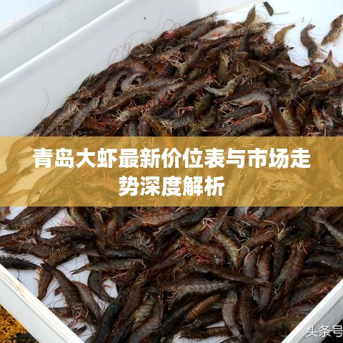 料事如神 第2页