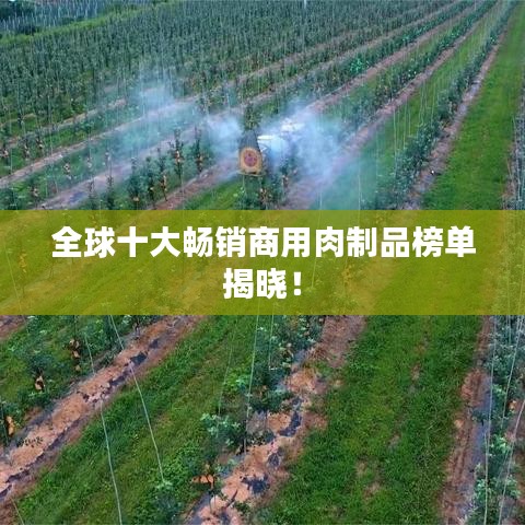饭来张口 第2页