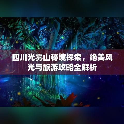 公司简介 第29页