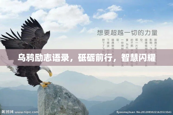 厂房环境 第13页