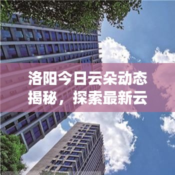 联系我们 第15页