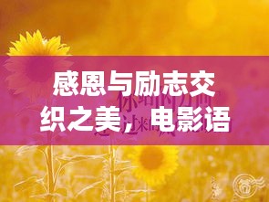 运输网络 第6页
