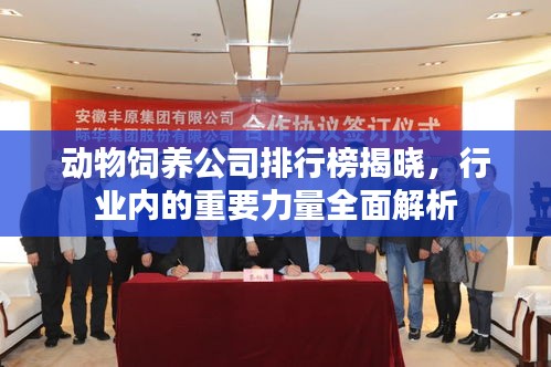 无边无际