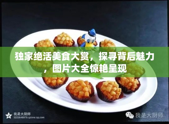 独家绝活美食大赏，探寻背后魅力，图片大全惊艳呈现