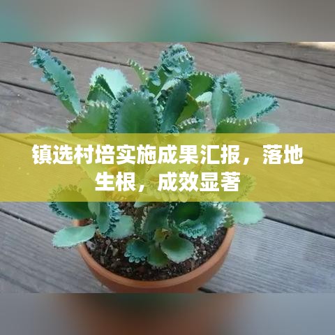 镇选村培实施成果汇报，落地生根，成效显著