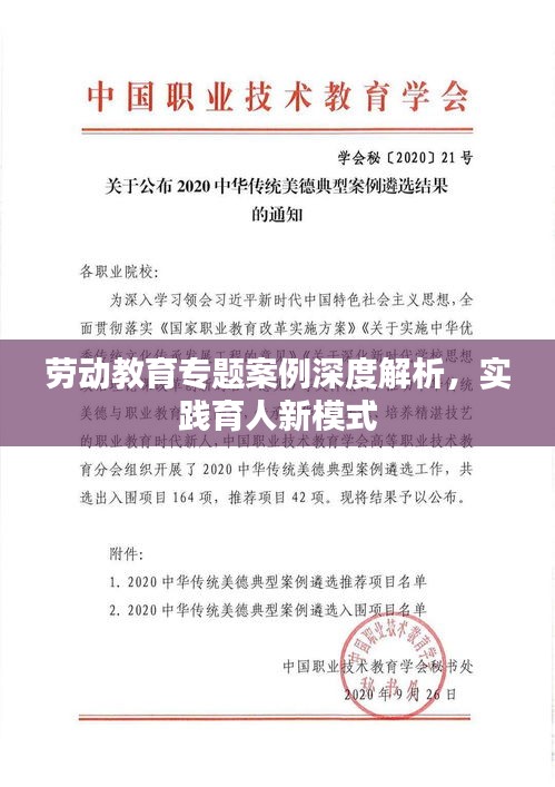 劳动教育专题案例深度解析，实践育人新模式