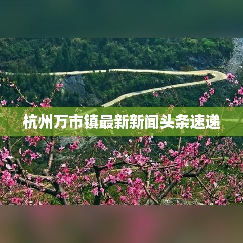 杭州万市镇最新新闻头条速递
